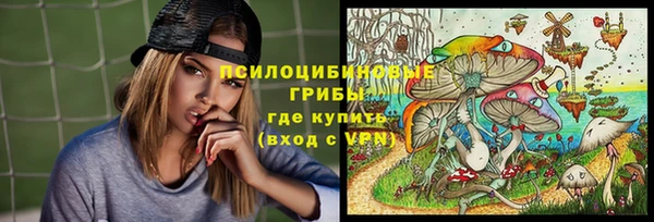 ALPHA-PVP Вяземский