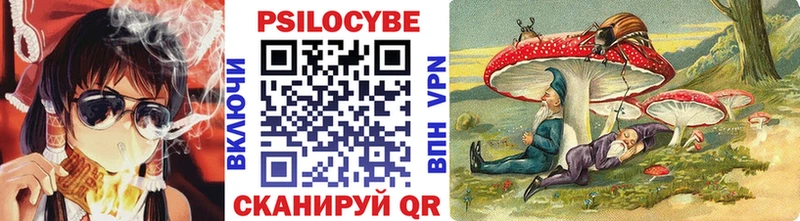 Галлюциногенные грибы Cubensis где продают наркотики кракен зеркало Сим